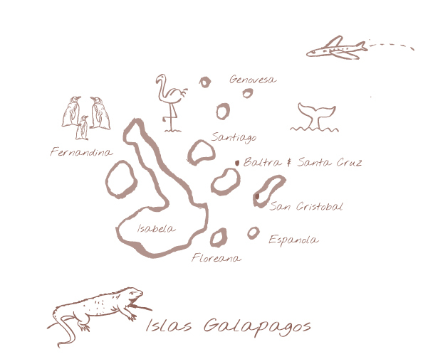 Galapagos V2