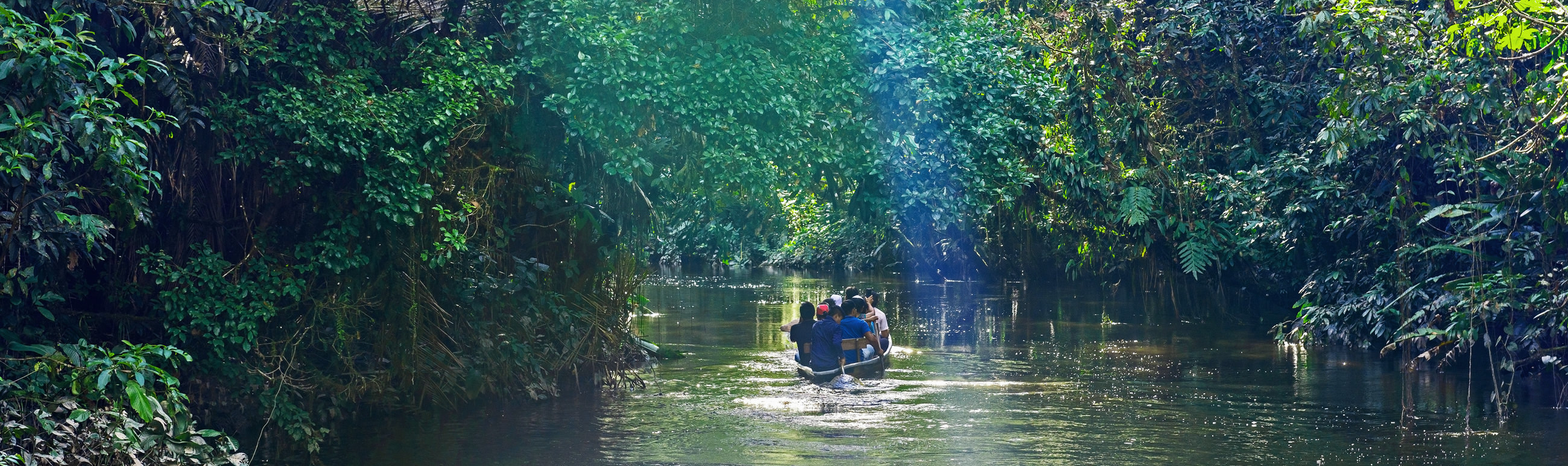 Pano Ecuador Reizen Amazone Yasuni Lodge Napo Wildlife Centre