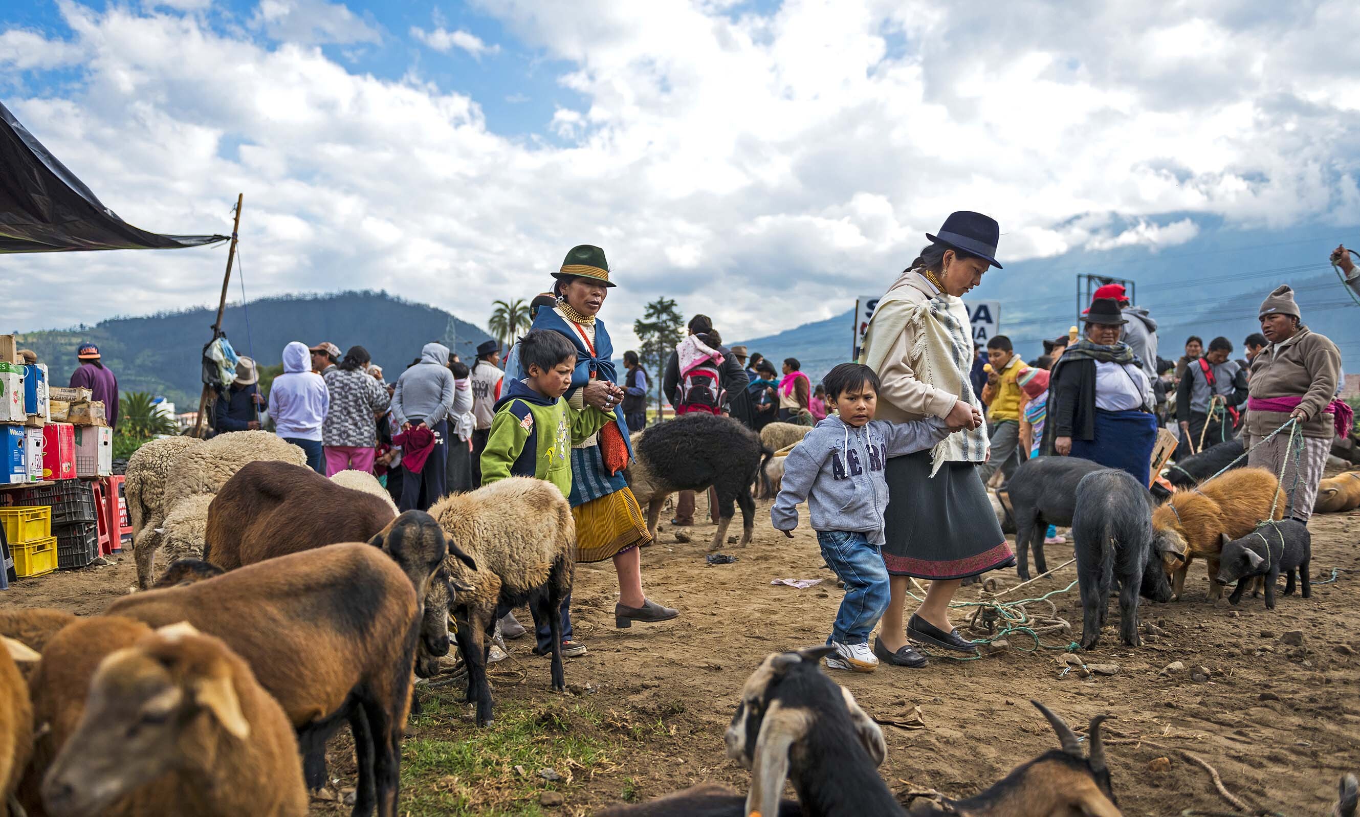 Ecuador Reis 88190