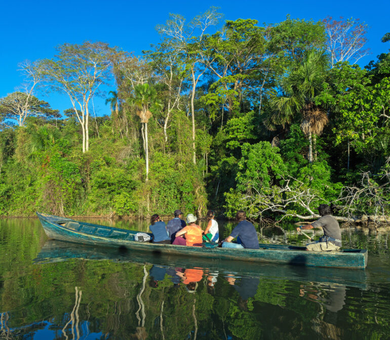 Peru Reizen Amazonewoud