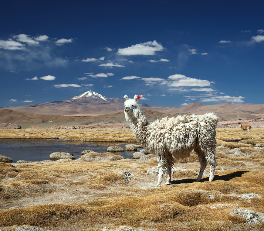 10 Bolivia Profundo Rondreis Atacama