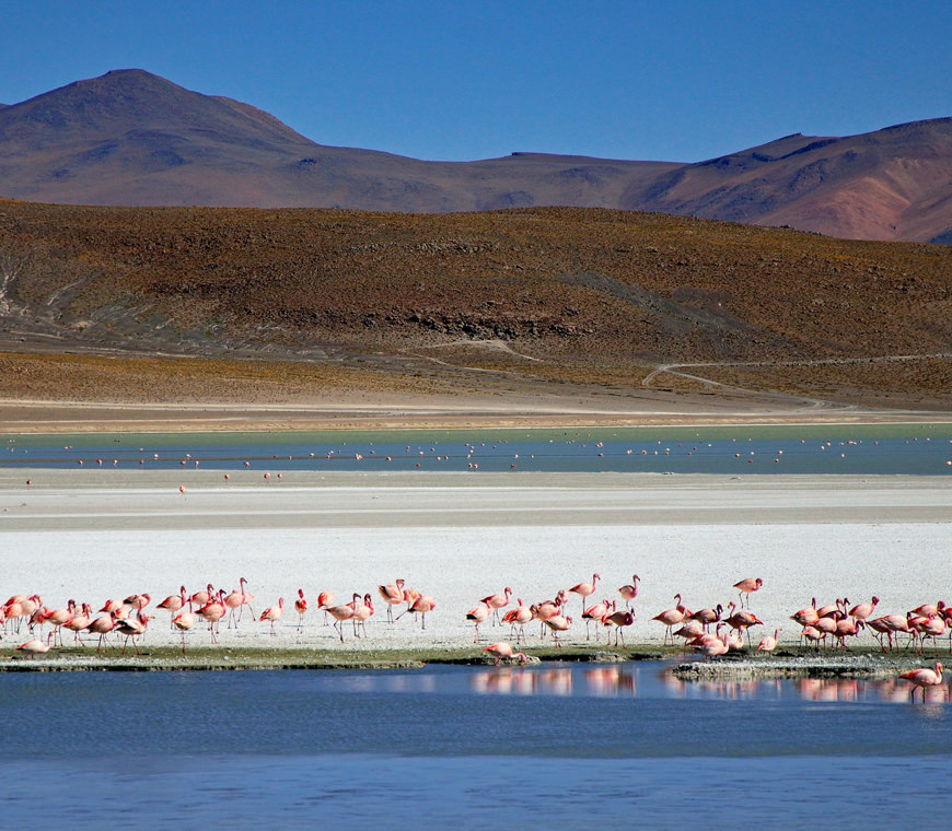 Atacama Bolivie Reizen Uyuni3 © Helen De Meyer