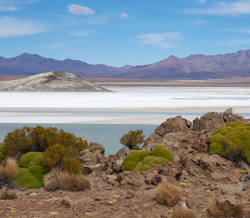Chili Atacama Reizen Selfdrive Individuele Rondreis8