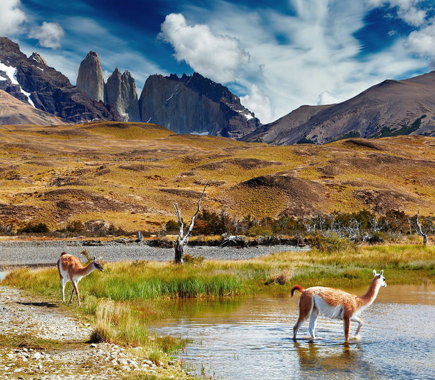Chili Reizen Patagonie Atacama 2
