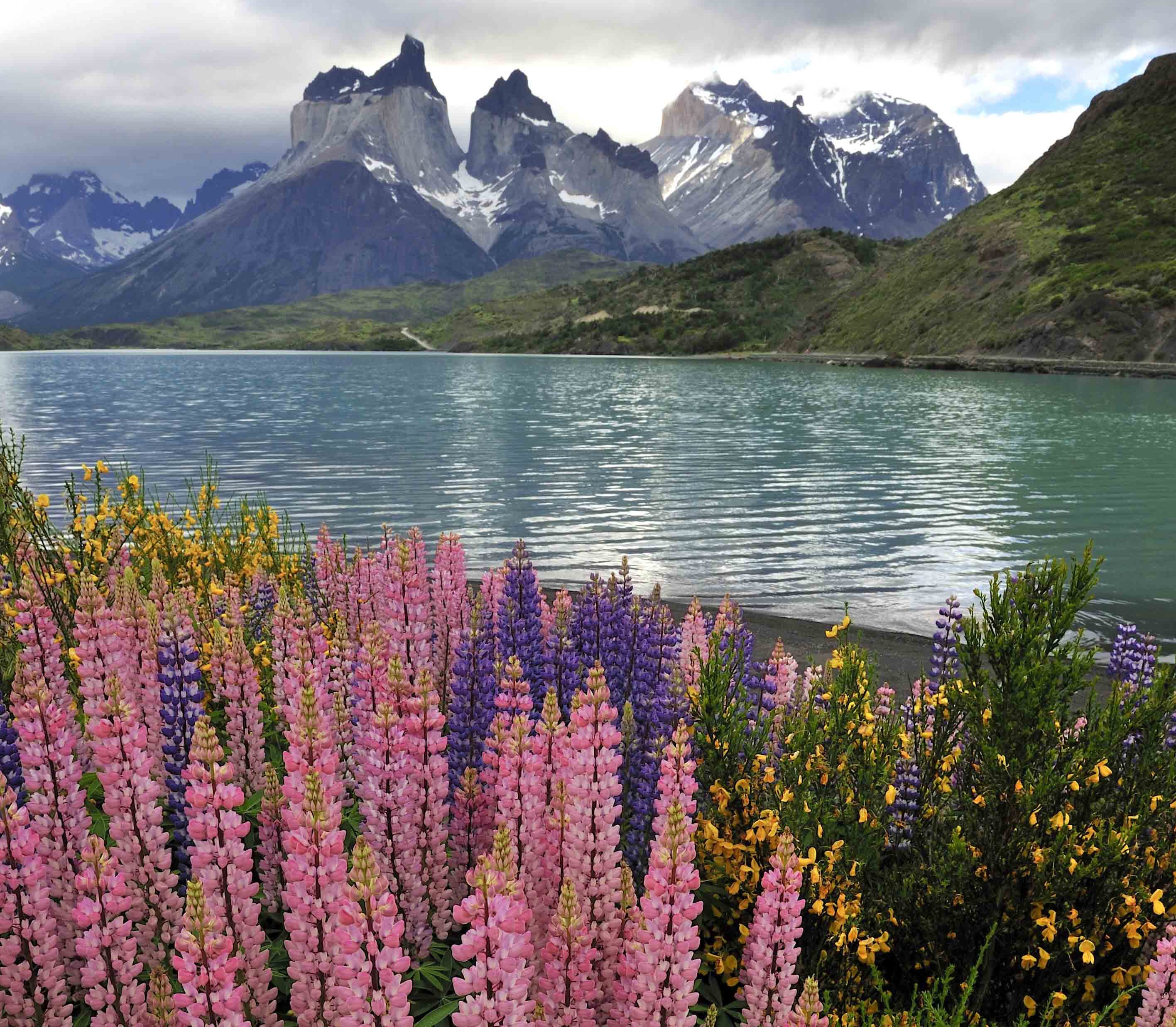 Explora Patagonia Torresdelpaine5