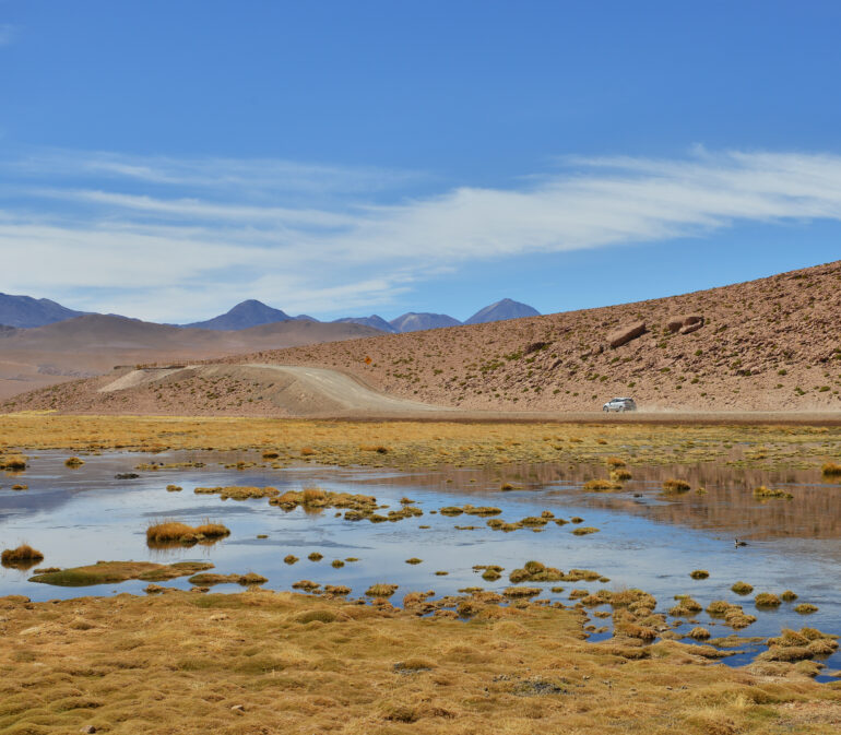 Demeyer Helen Atacamawoestijn Chili Reizen6