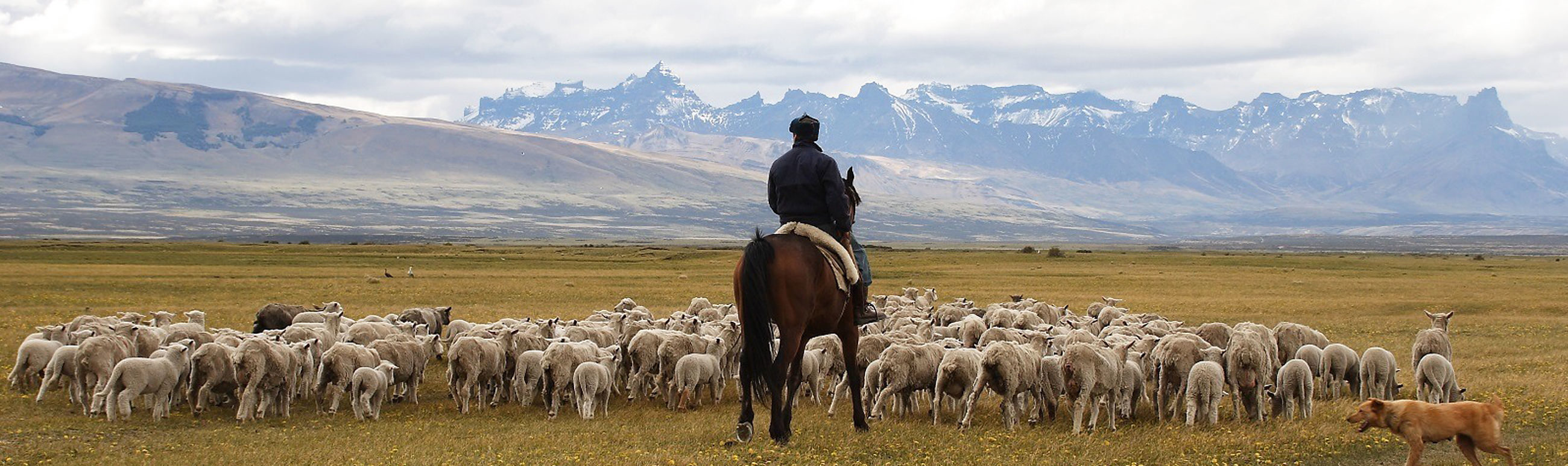 Awasi Patagonia Chili Luxe Reizen5