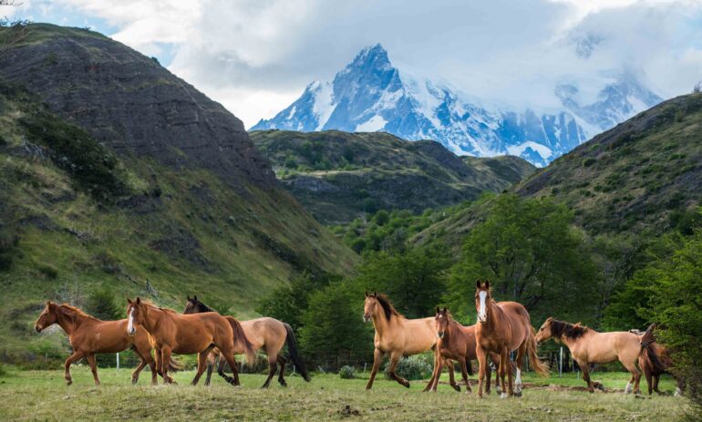 Explora Patagonia Luxereis Rechthoek6